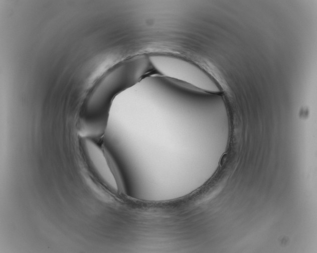 X0000090760530200708172050