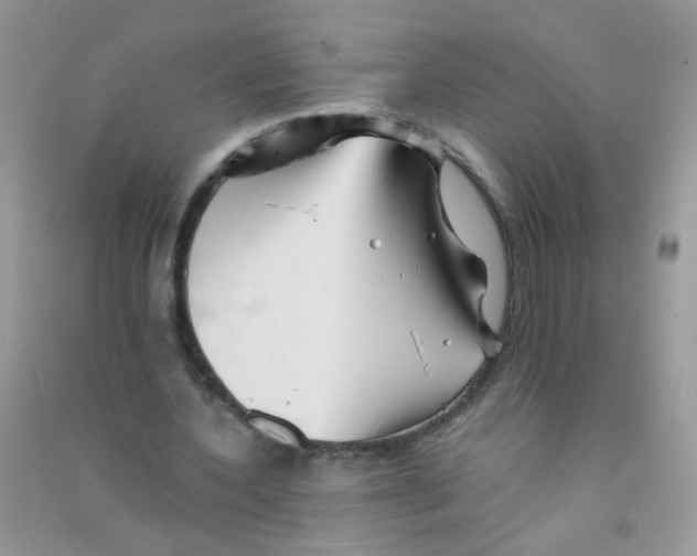 X0000090760532200708172050