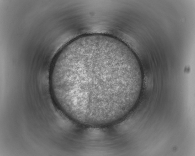 X0000090760534200708172050