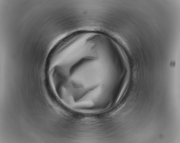 X0000090760536200708172050