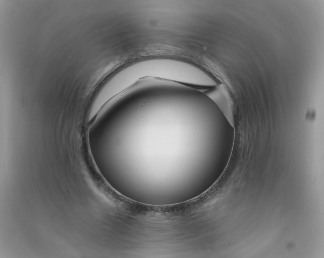 X0000090760538200708172050