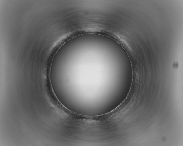 X0000090760539200708172050