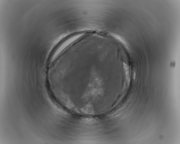 X0000090760540200708172050