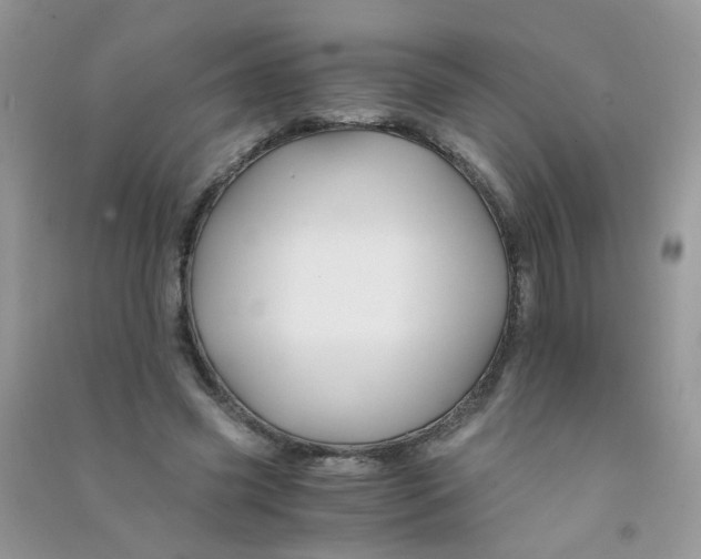 X0000090760541200708172050