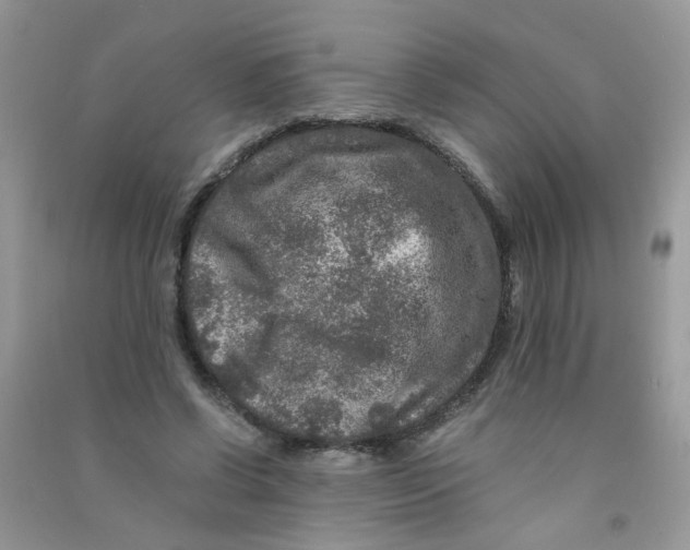 X0000090760542200708172050