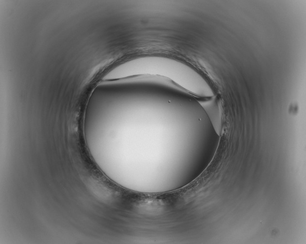 X0000090760543200708172050