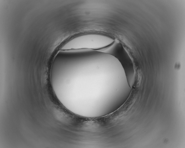 X0000090760544200708172050