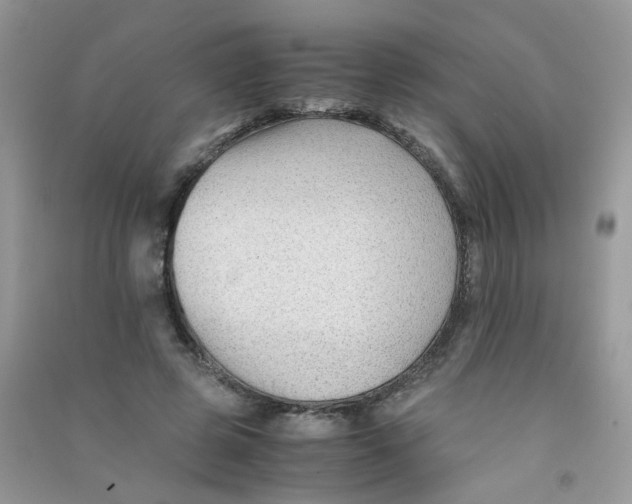 X0000090760545200708172050