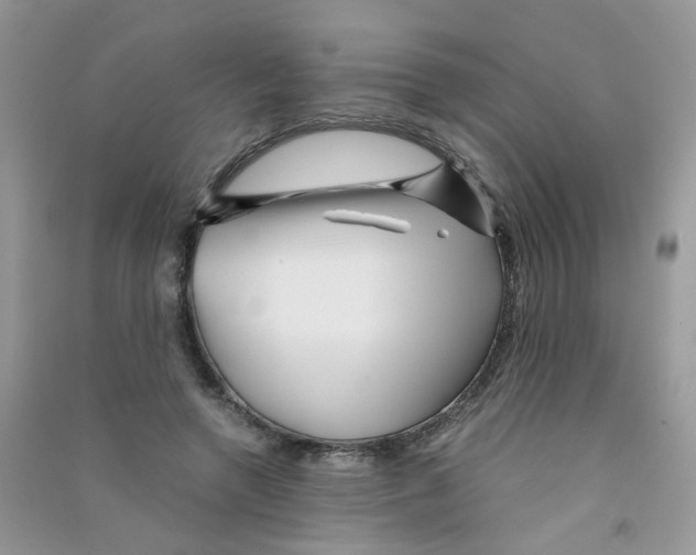 X0000090760546200708172050