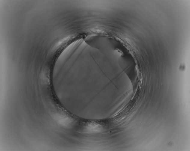 X0000090760547200708172050