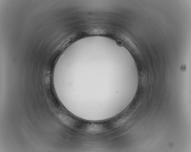 X0000090760549200708172050