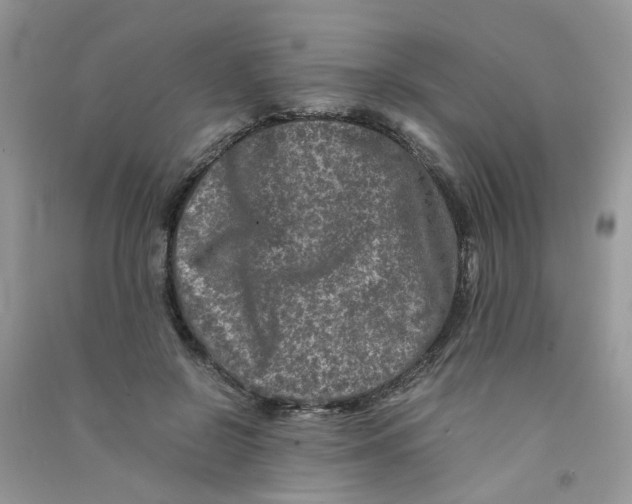 X0000090760550200708172050