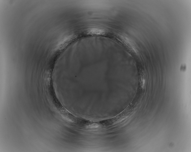 X0000090760551200708172050