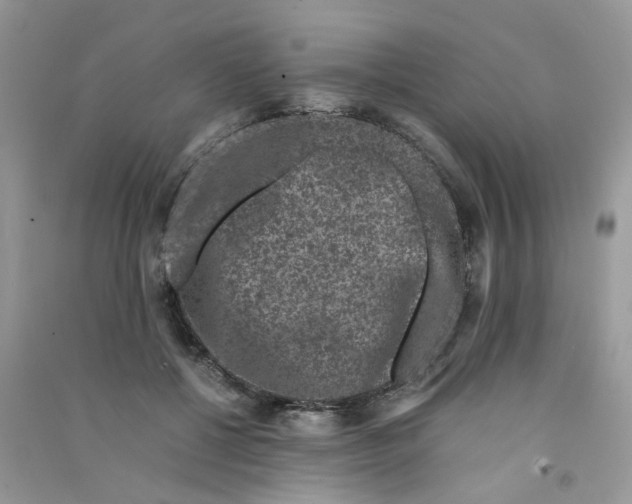 X0000090760552200708172050