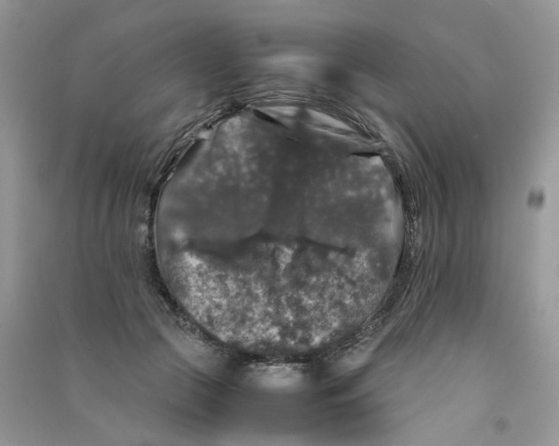 X0000090760553200708172050