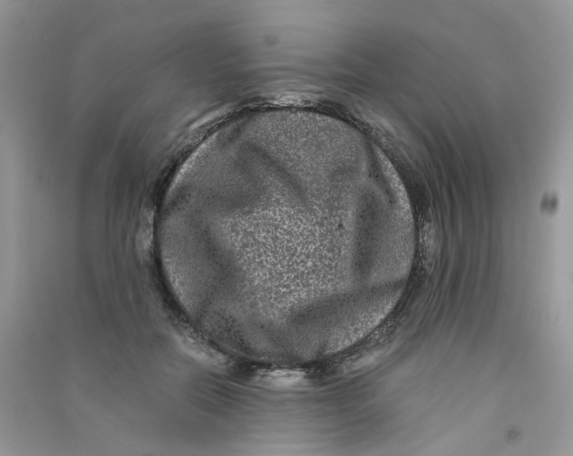 X0000090760554200708172050