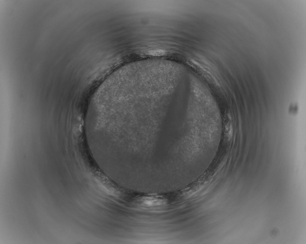 X0000090760555200708172050