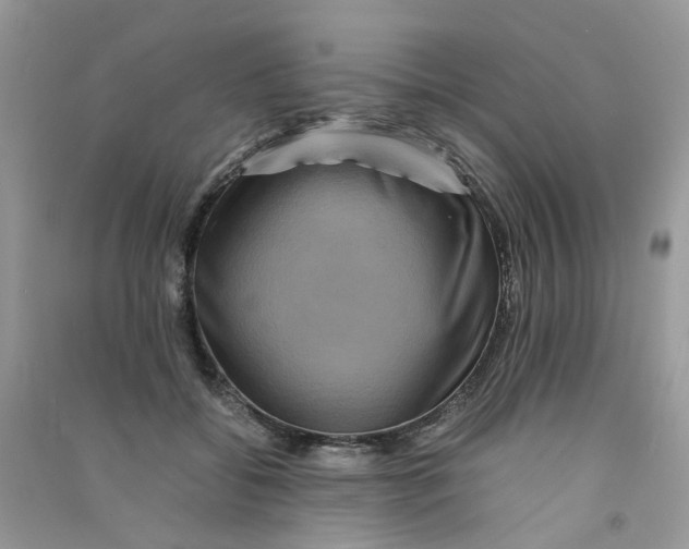 X0000090760556200708172050