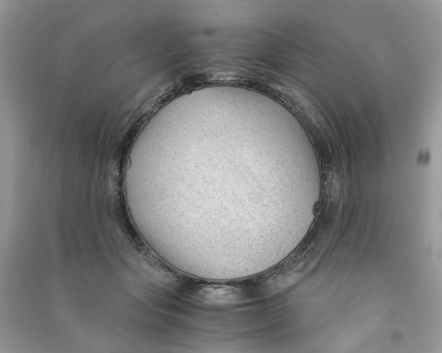 X0000090760557200708172050