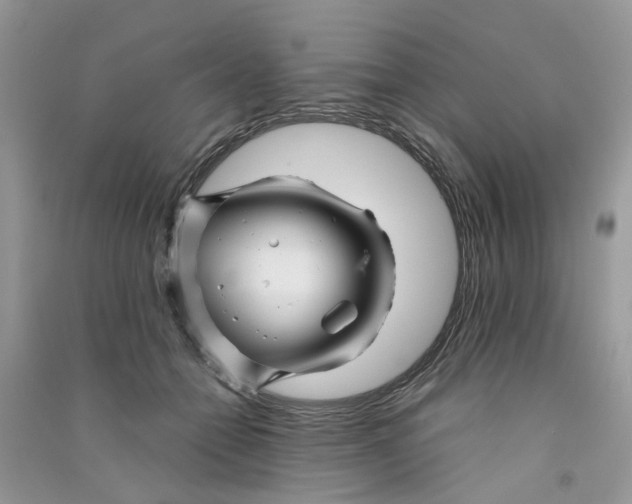 X0000090760558200708172050