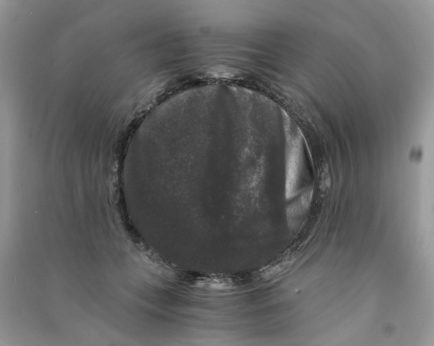 X0000090760559200708172050