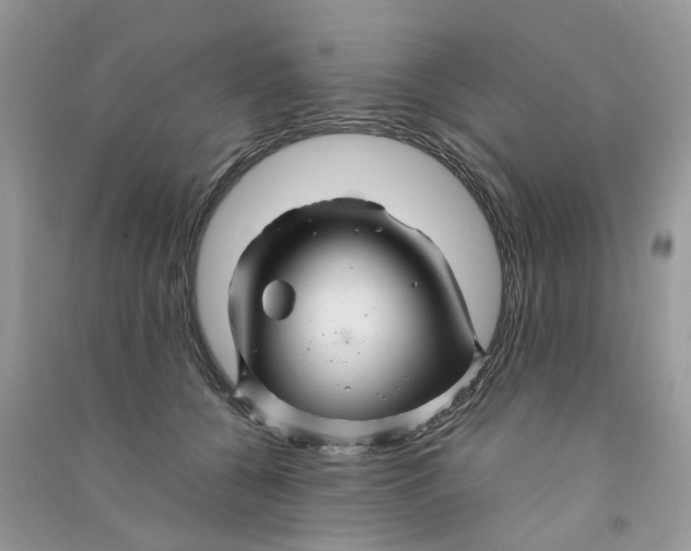 X0000090760560200708172050