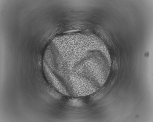 X0000090760561200708172050