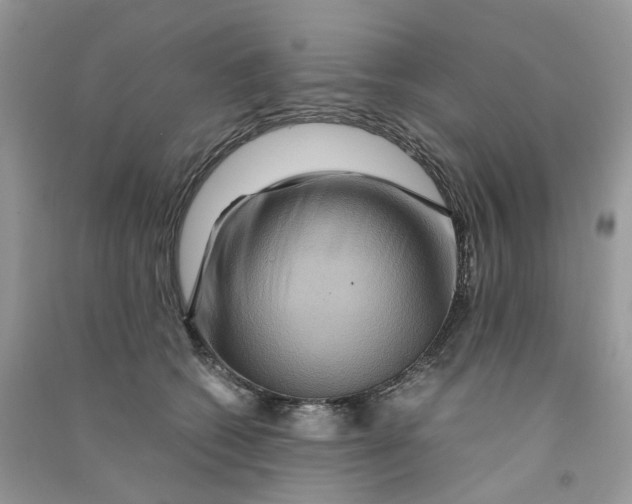 X0000090760562200708172050