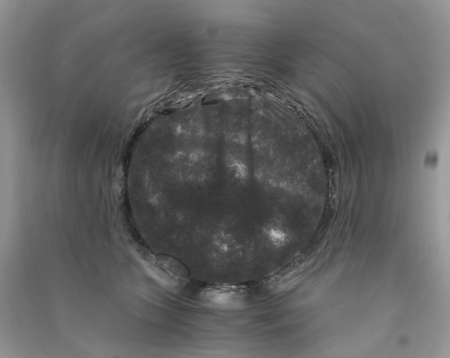 X0000090760563200708172050