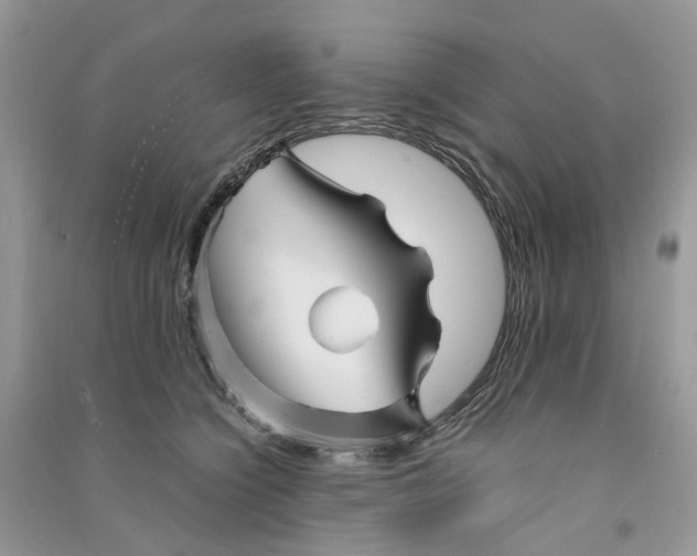 X0000090760564200708172050