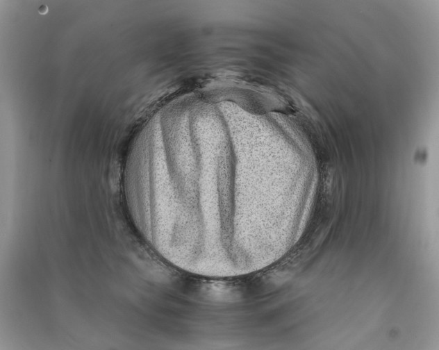 X0000090760565200708172050