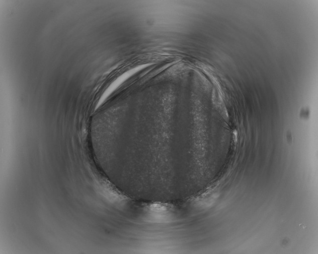 X0000090760566200708172050