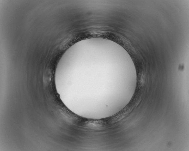 X0000090760567200708172050