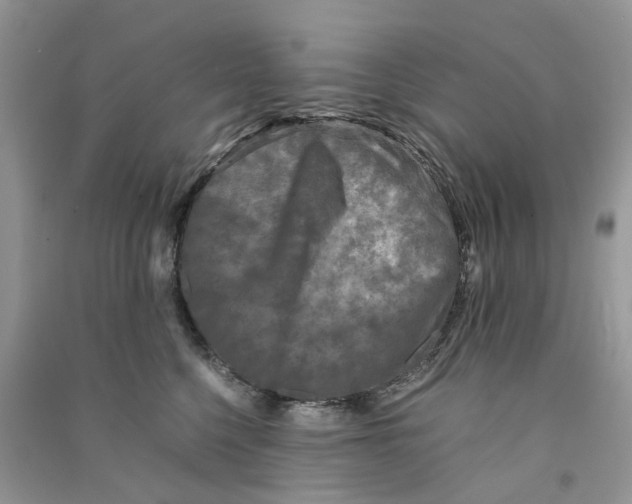 X0000090760568200708172050