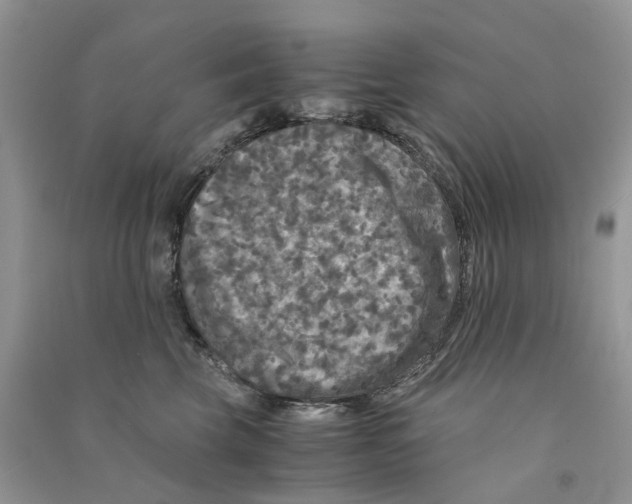 X0000090760569200708172050