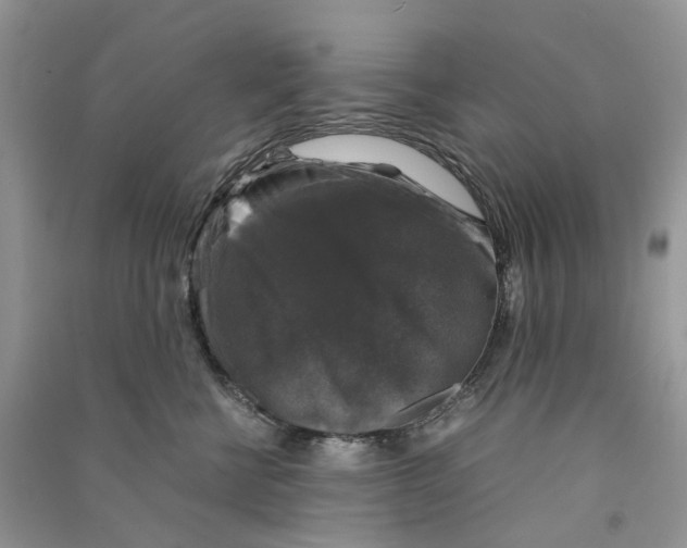 X0000090760570200708172050