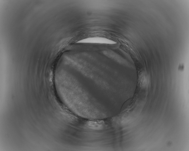 X0000090760571200708172050