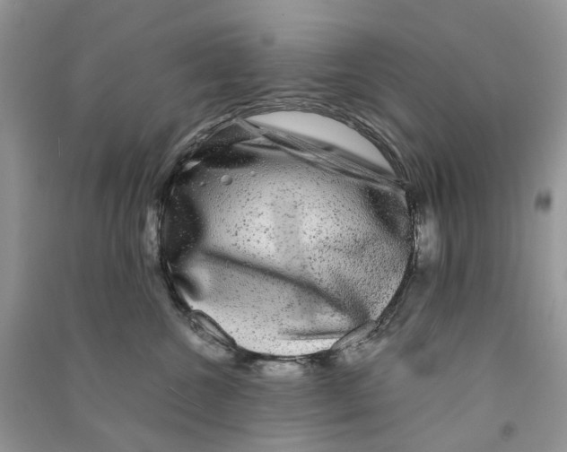 X0000090760572200708172050