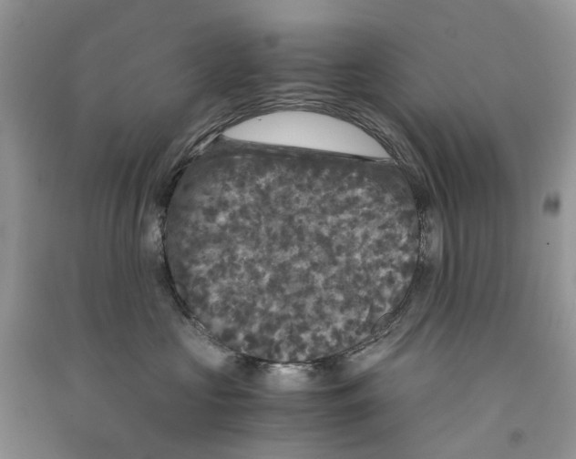 X0000090760573200708172050