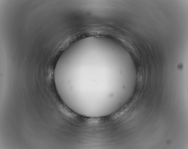 X0000090760574200708172050