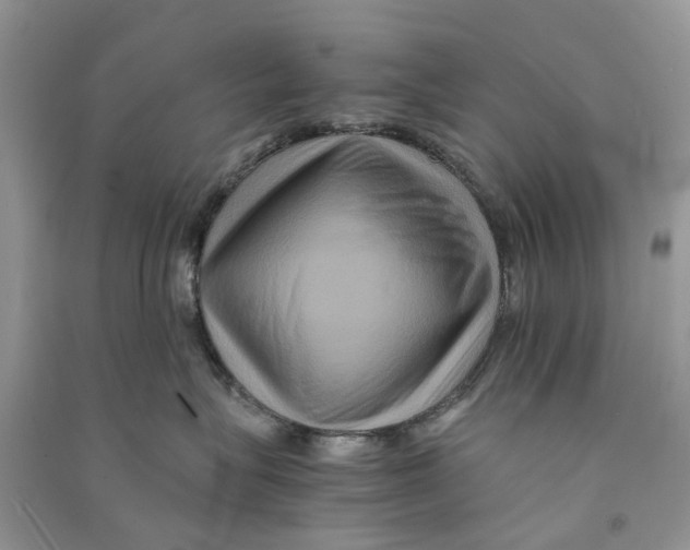 X0000090760575200708172050