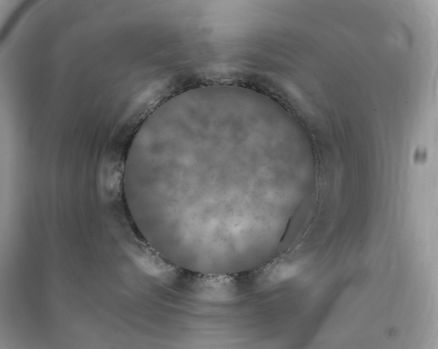 X0000090760576200708172050