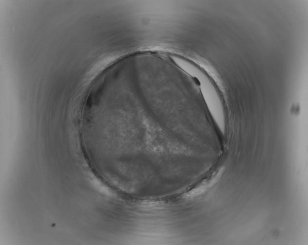 X0000090760577200708172050