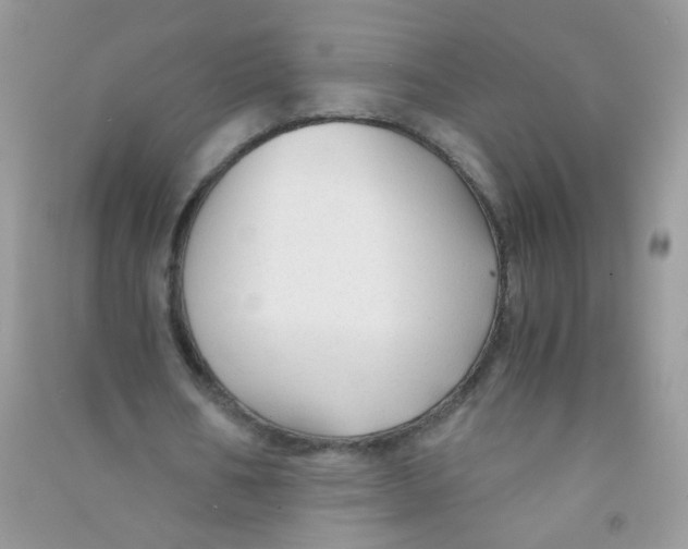 X0000090760578200708172050