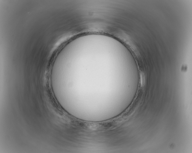 X0000090760579200708172050