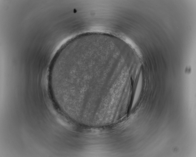 X0000090760580200708172050