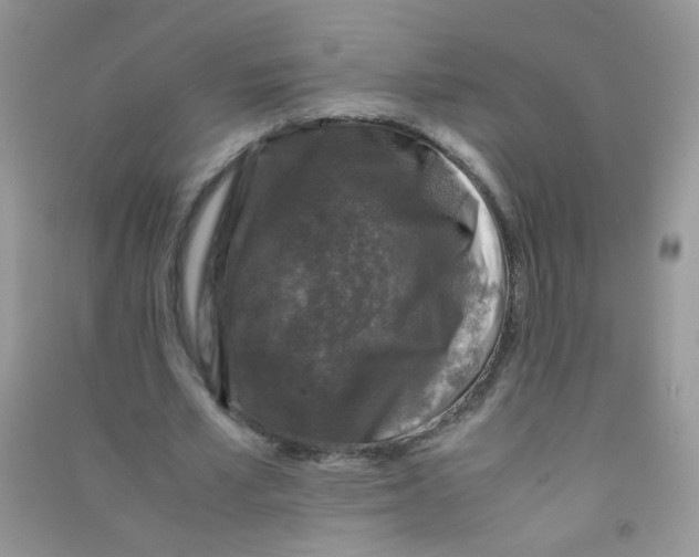 X0000090760581200708172050