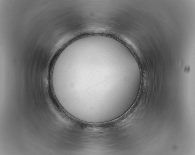 X0000090760582200708172050