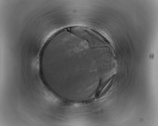 X0000090760584200708172050