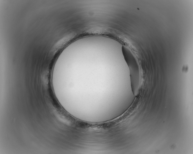 X0000090760586200708172049